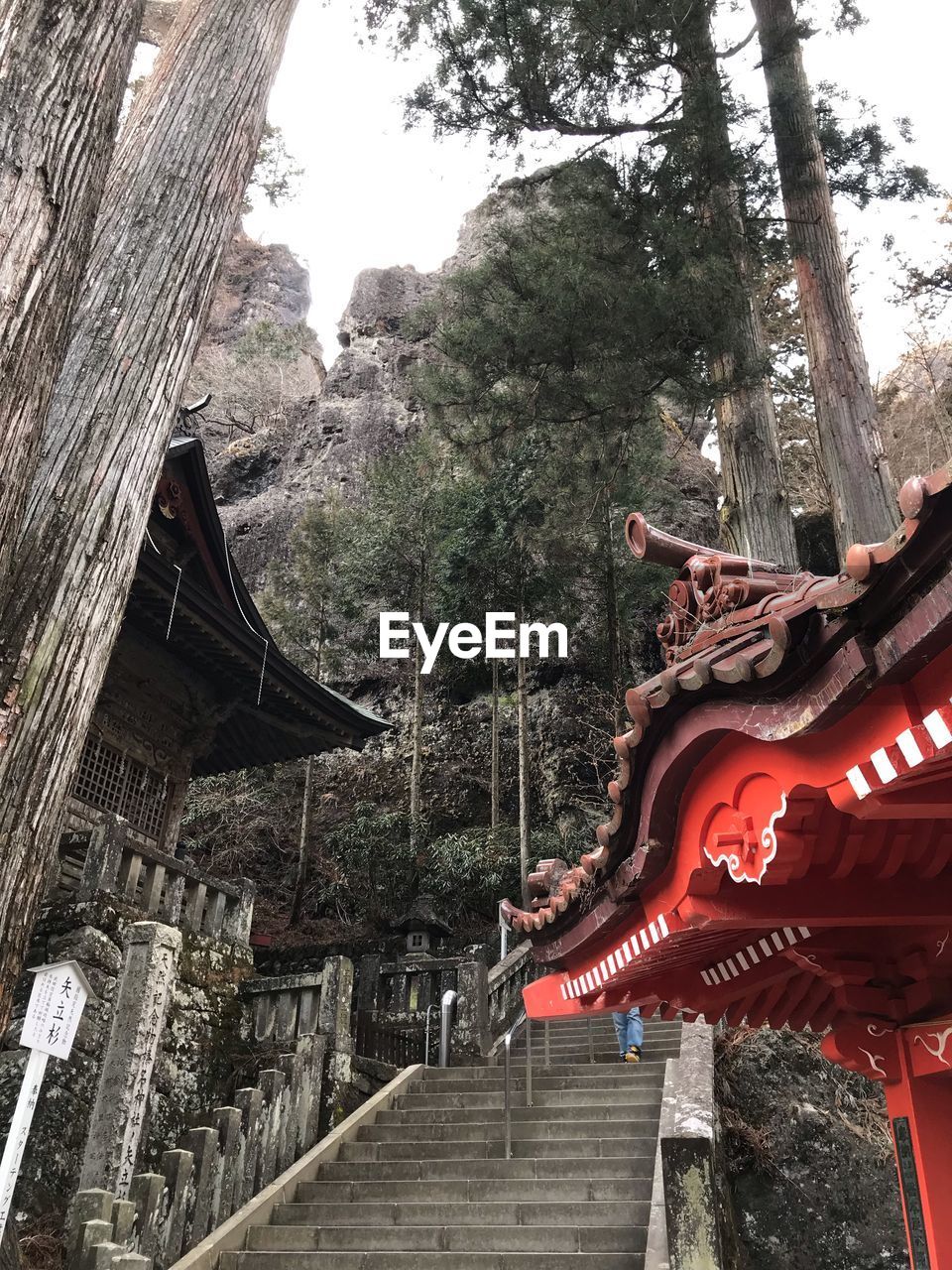 VIEW OF TEMPLE BUILDING