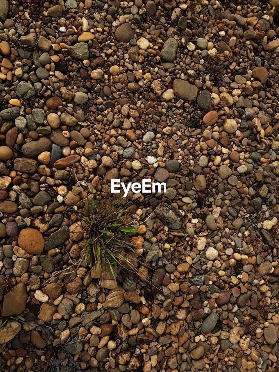 soil, gravel, nature, stone, rock, no people, pebble, backgrounds, high angle view, full frame, day, land, outdoors, abundance, road surface, wood, textured, sunlight, large group of objects, asphalt, pattern, wall, tranquility, beauty in nature, field, leaf, plant part, flooring, plant, tree, beach, autumn, directly above, close-up