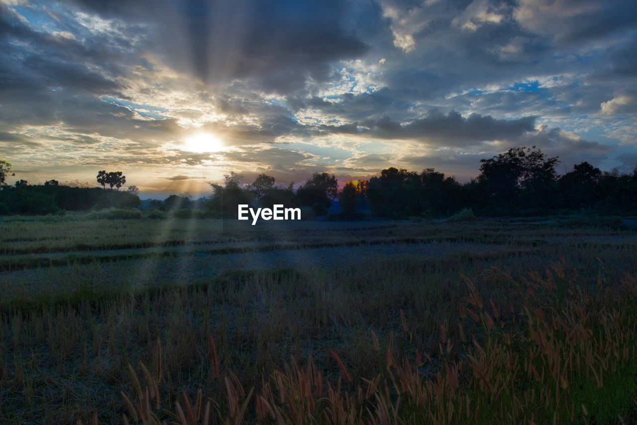 SCENIC VIEW OF SUNSET