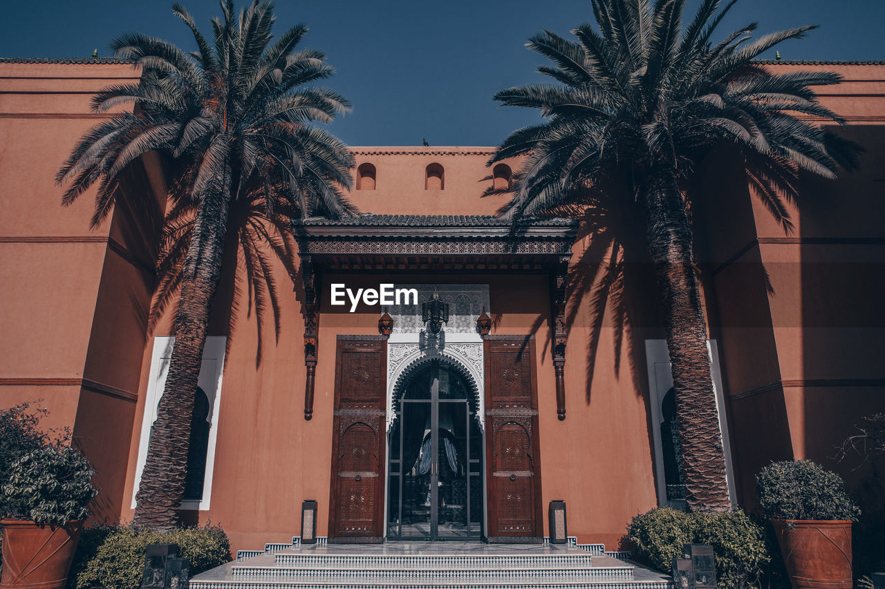 LOW ANGLE VIEW OF PALM TREES AGAINST BUILDING