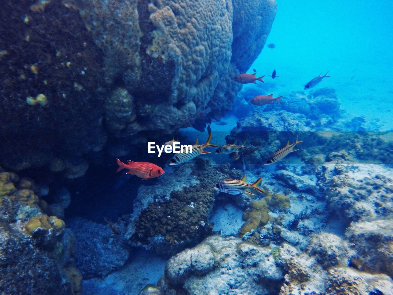 Rock formation in sea