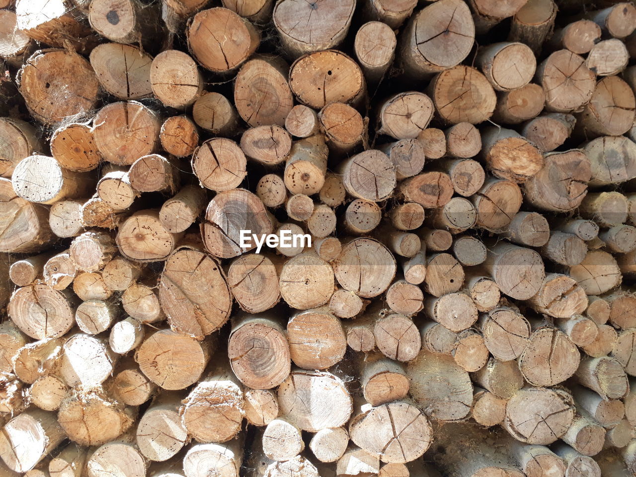 FULL FRAME SHOT OF FIREWOOD