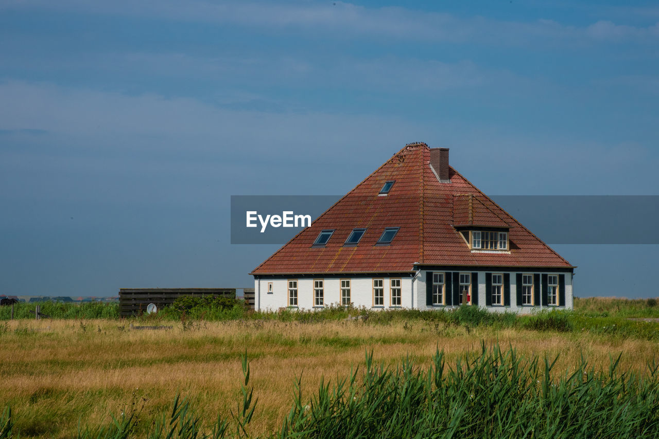 Schoorl, the netherlands. july 2021. dutch landscape with windmill and thatched roof.