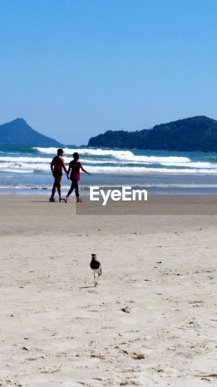 REAR VIEW OF PEOPLE WALKING ON BEACH