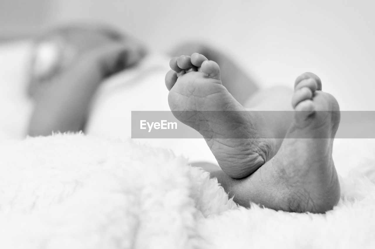 Close-up of baby feet lying in bed