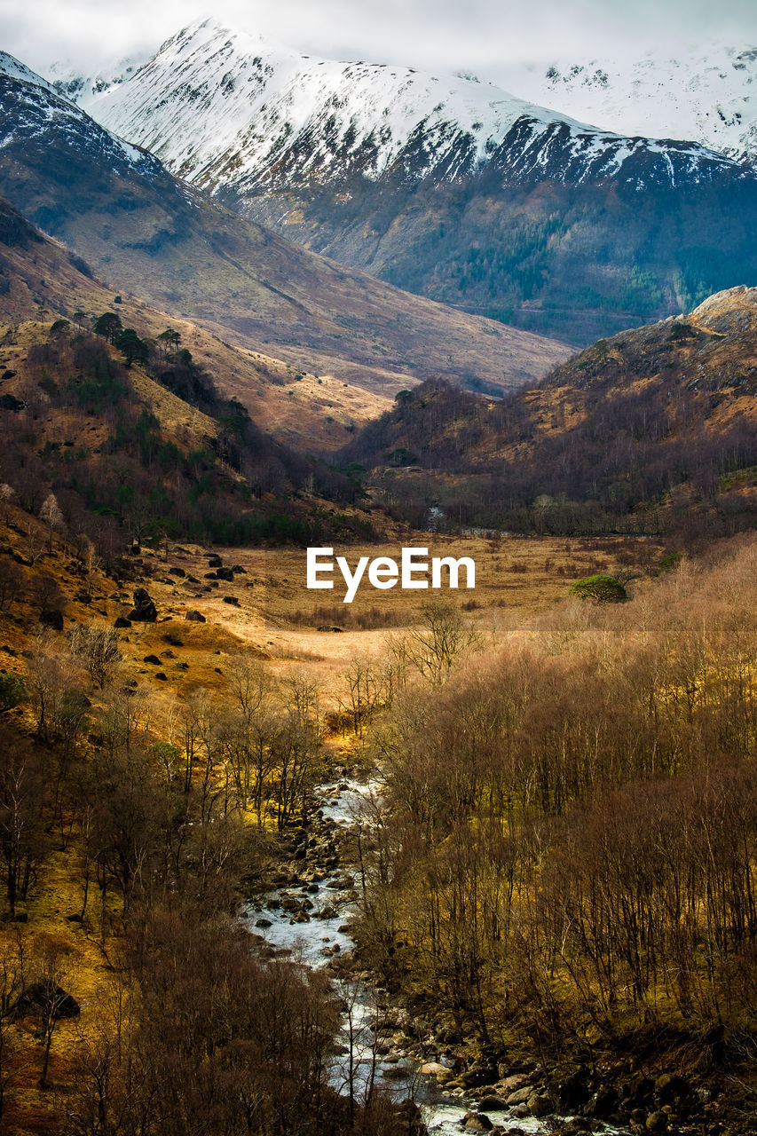 Landscape with mountain in background