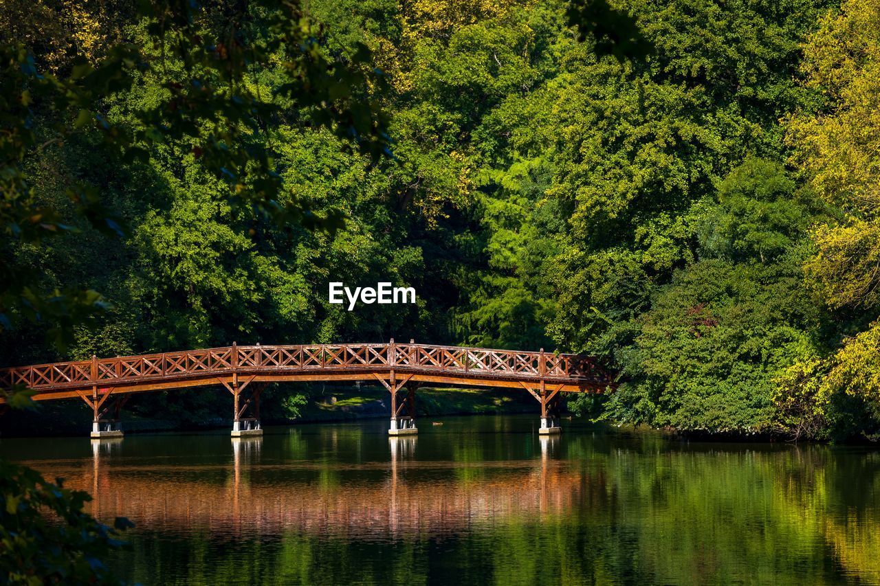 Built wooden bridge in lake against trees in forest