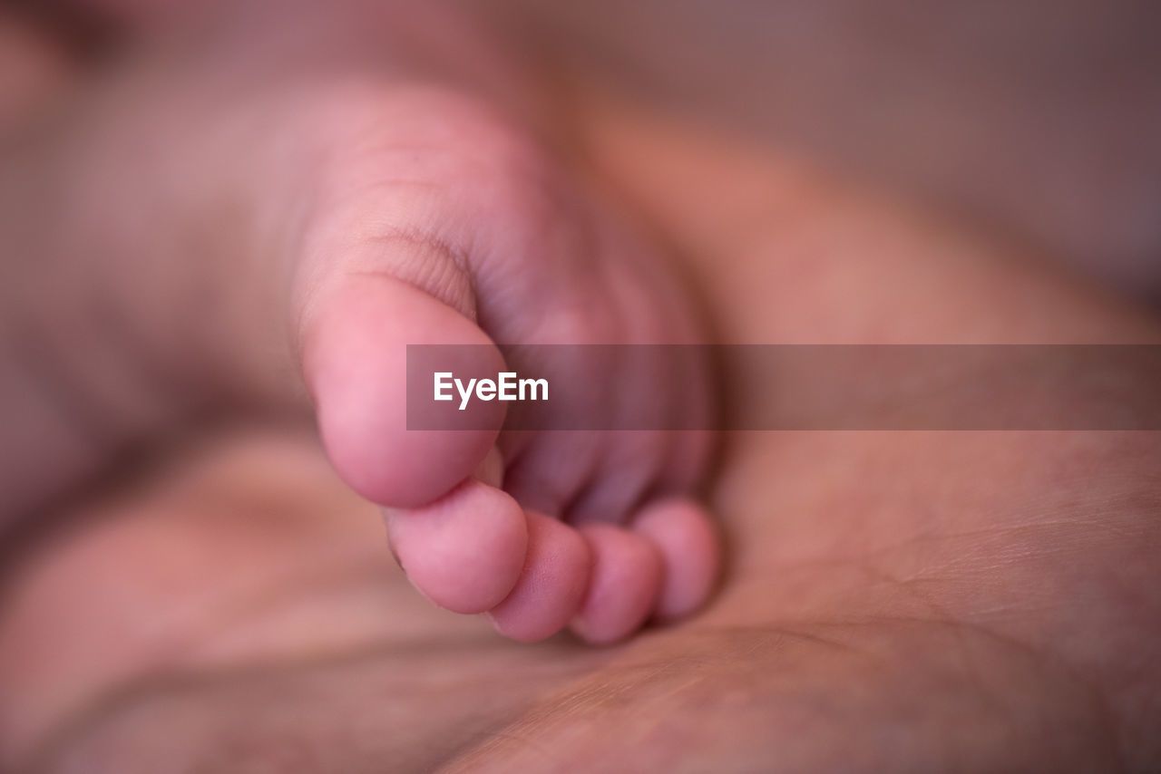 Cropped image of father holding baby foot
