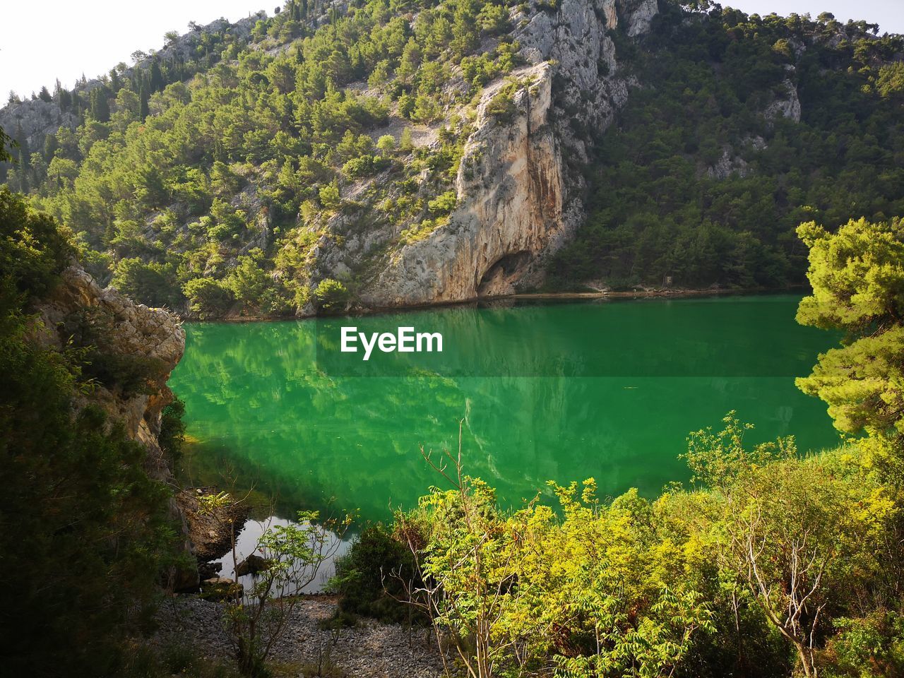 Scenic view of lake by trees against mountain