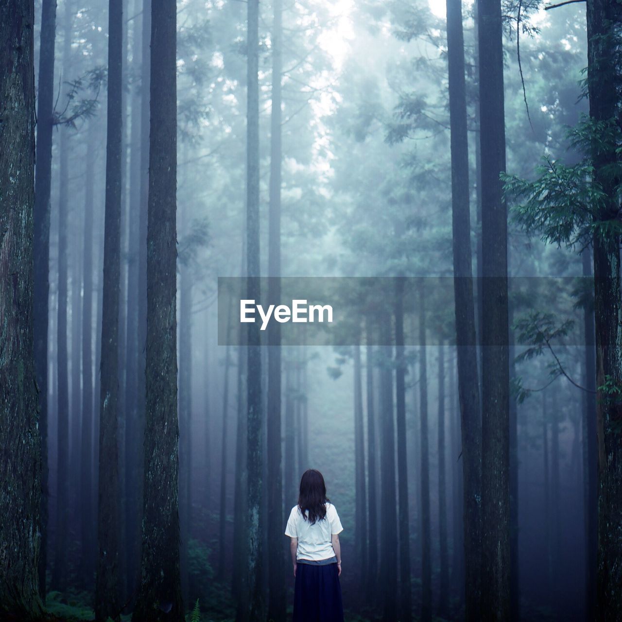 Rear view of woman standing in forest during foggy weather