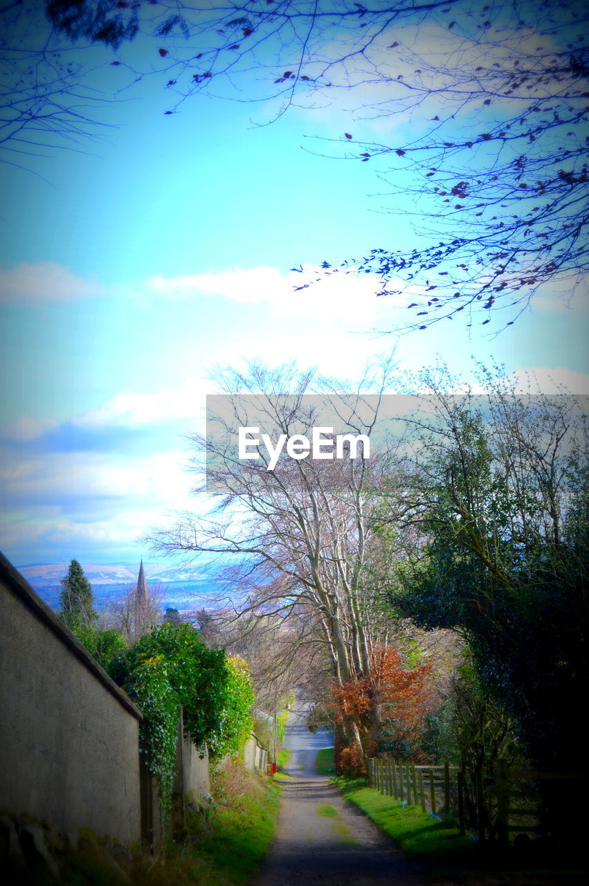 SCENIC VIEW OF TREES AGAINST SKY