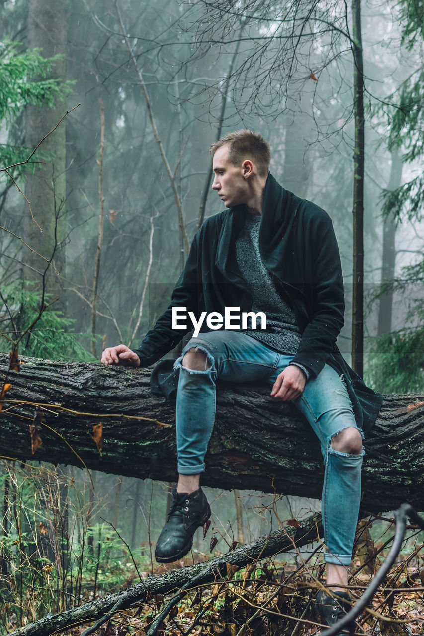 Handsome man sitting on fallen tree in forest