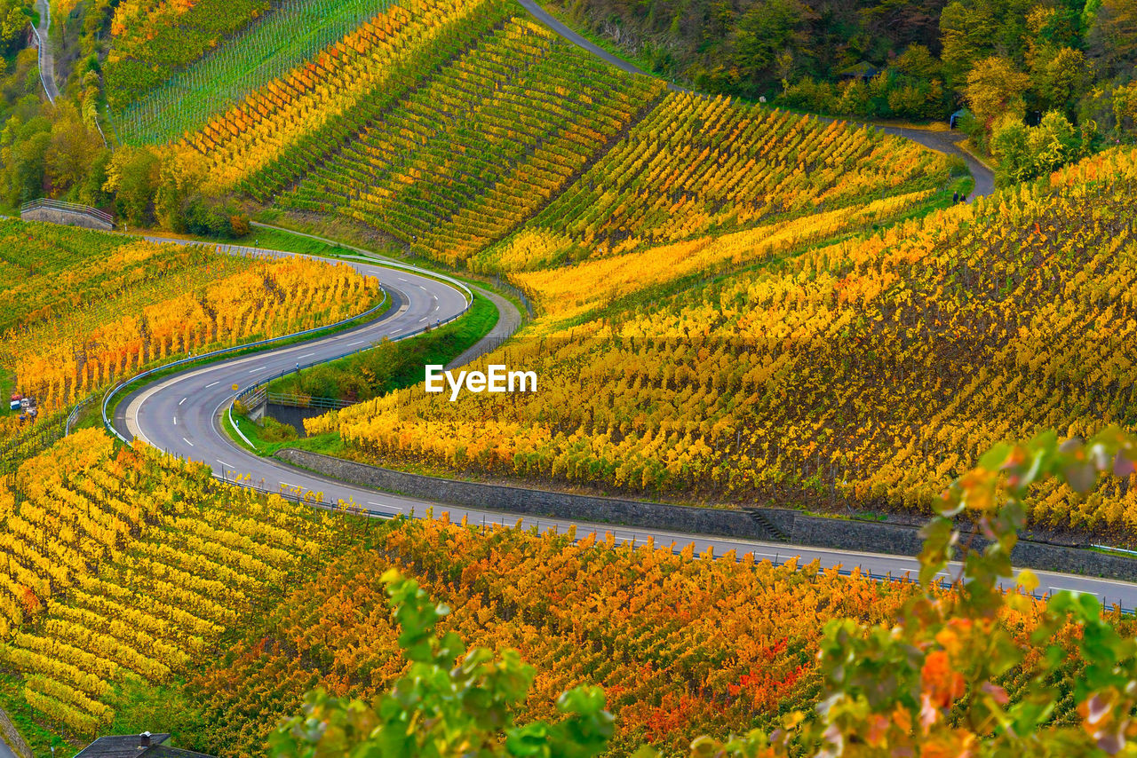 high angle view of field