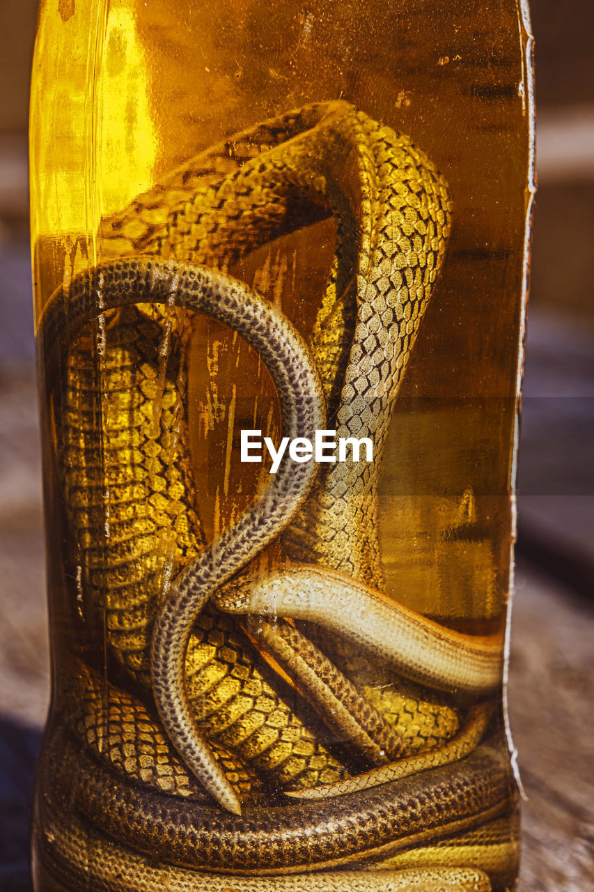 yellow, gold, footwear, close-up, no people, beer, focus on foreground, drink, alcoholic beverage, alcohol, food and drink, beer glass, refreshment, bottle