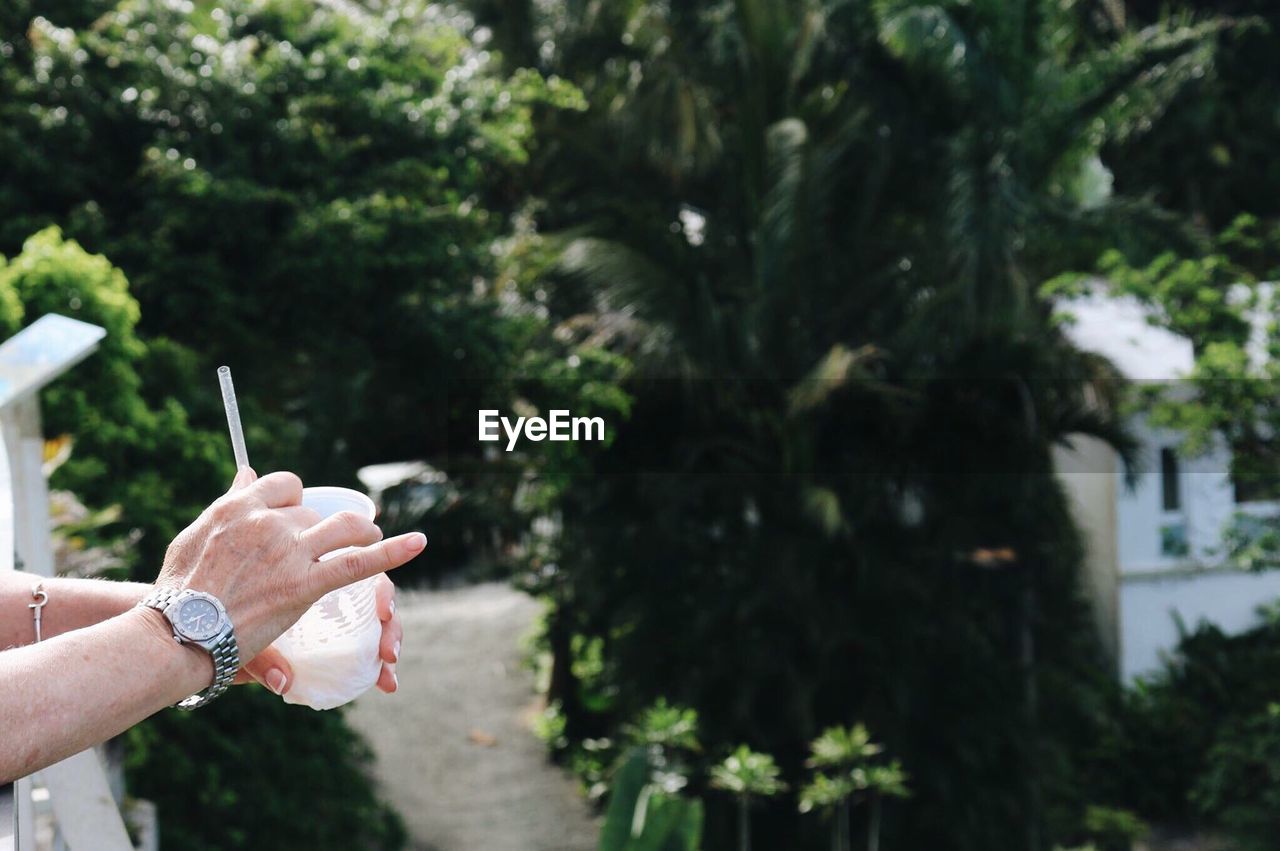 Cropped image of man holding drink against trees