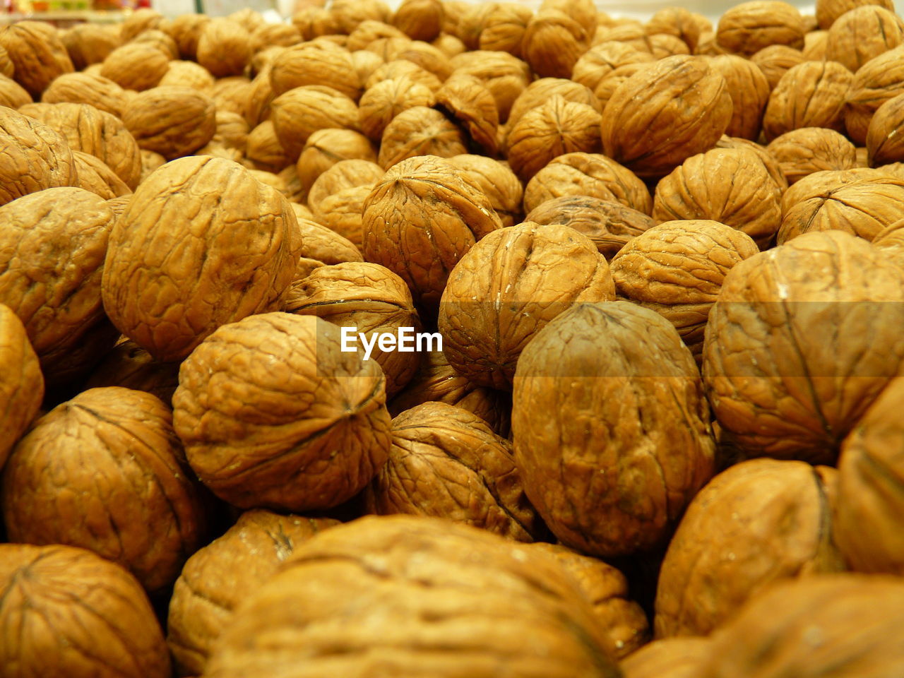 In-shell walnuts are drupes of the genus juglans