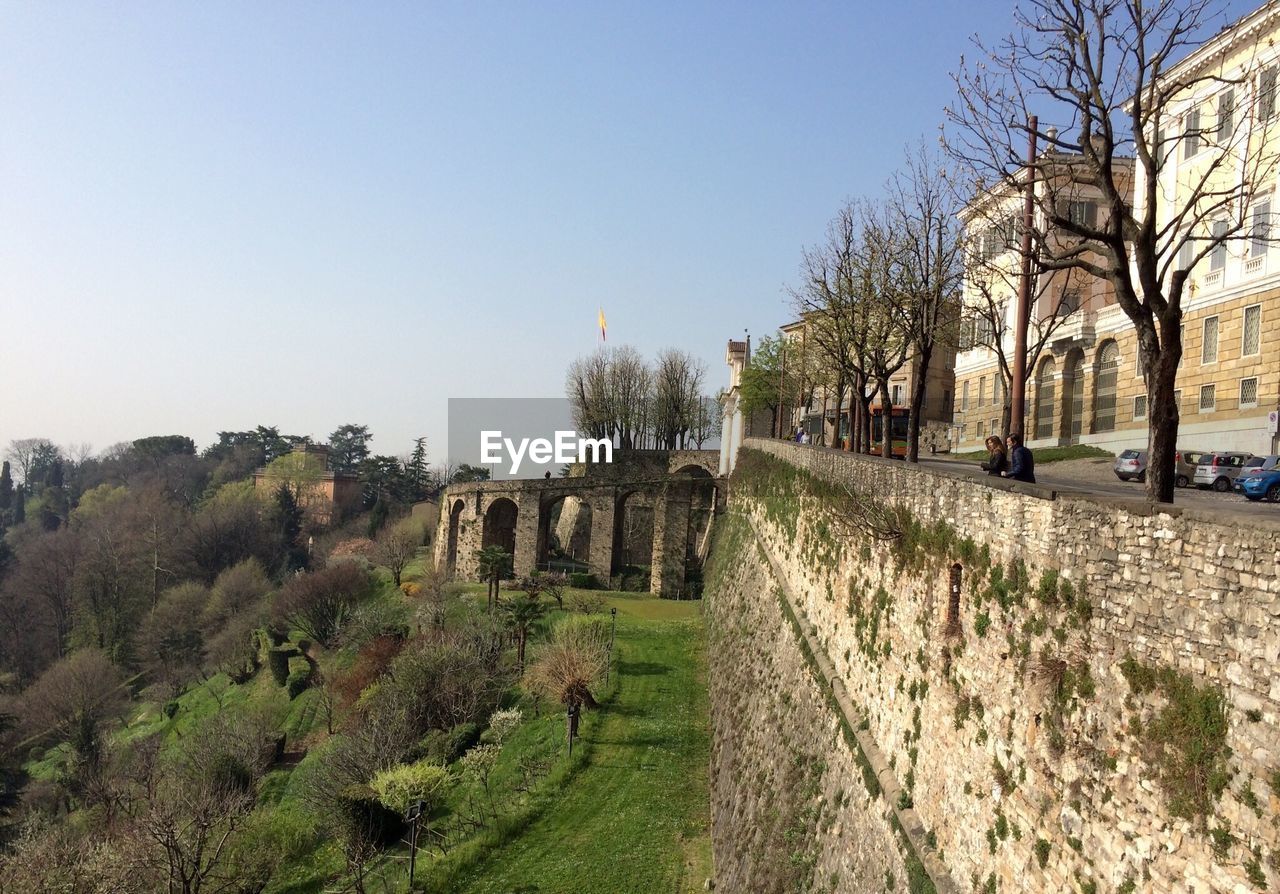 Trees near stone wall