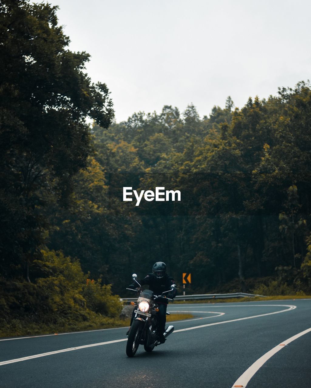 Man riding motorcycle on road against trees