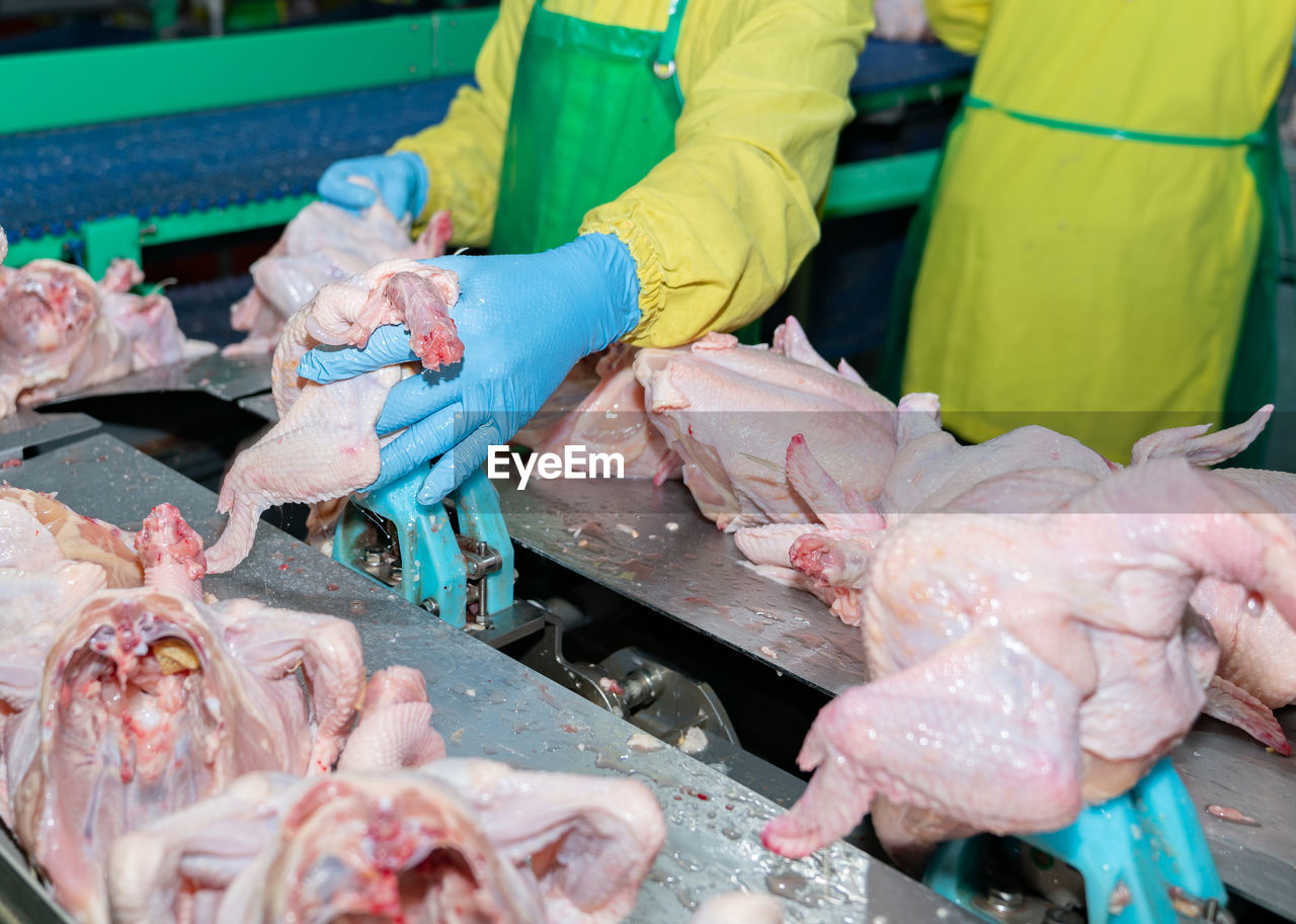 Close up wearing a half whole chicken on jack conveyor to auto cutting a parts machine in plant.