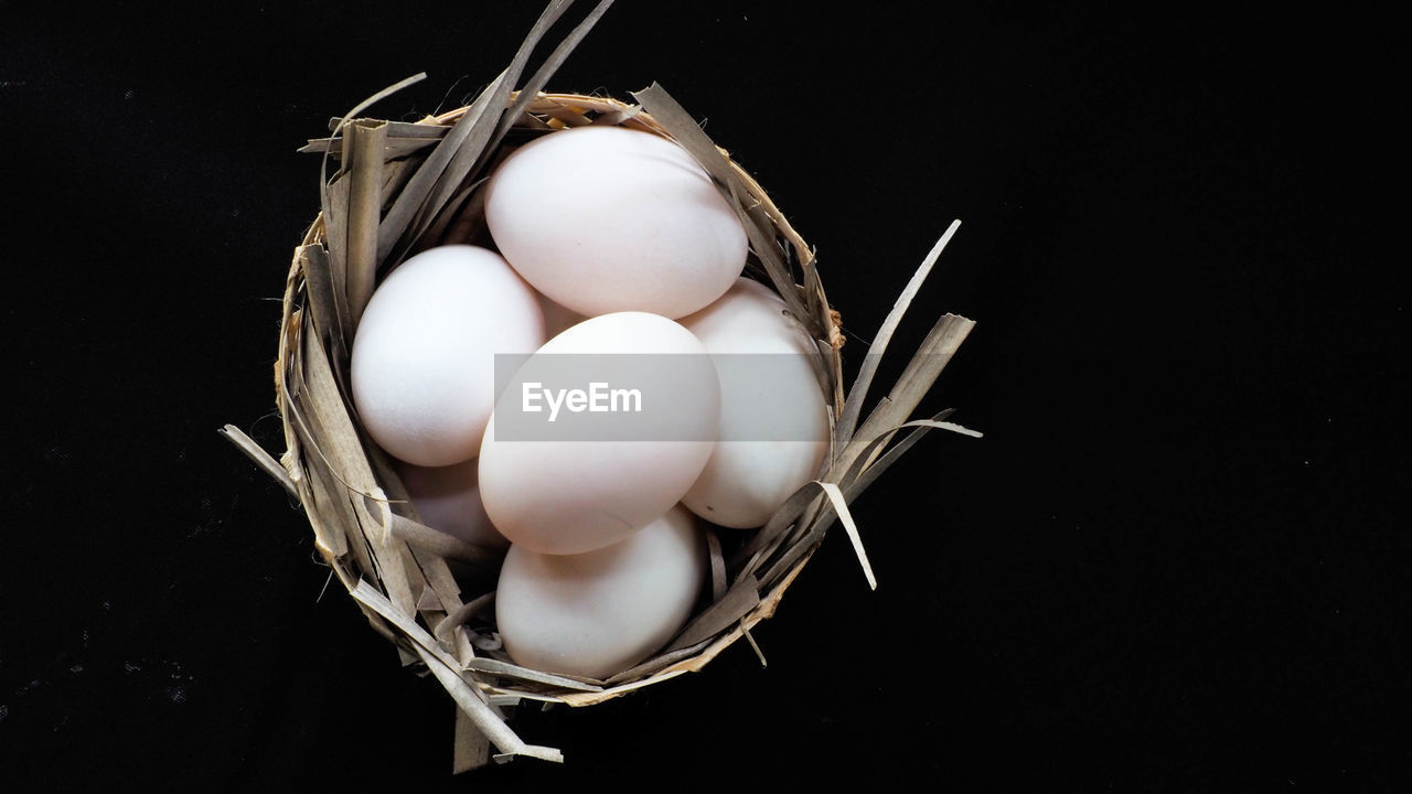 CLOSE-UP OF EGGS IN CONTAINER