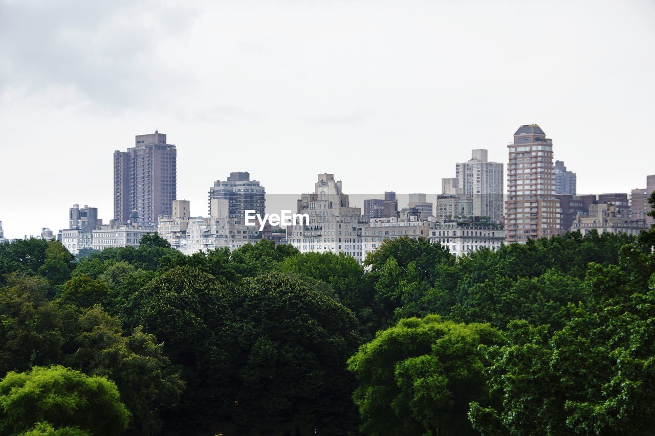 Trees in city against sky