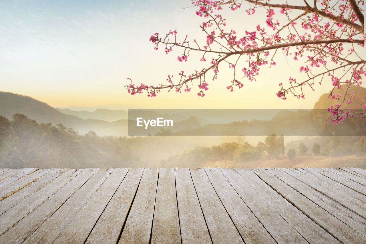 Empty top wooden table and sakura flower with fog and morning light  background.