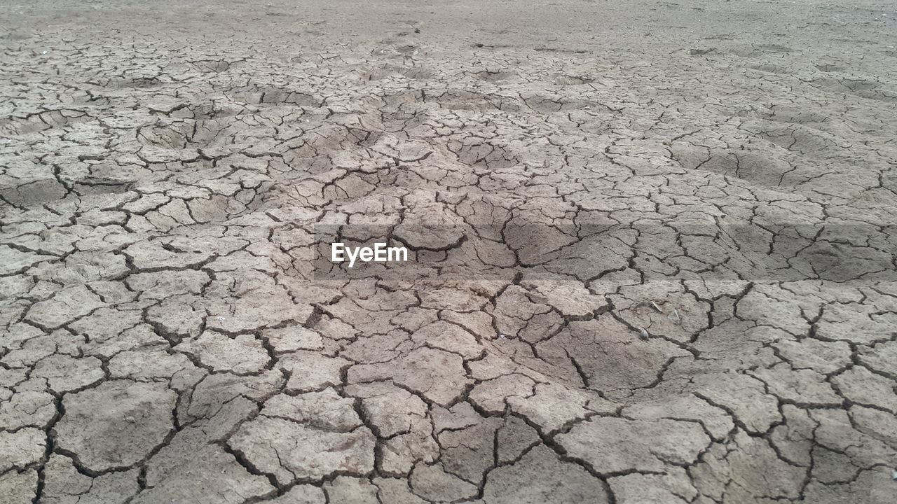 Grey dry soil surface with cracks , soil drought cracks texture background 