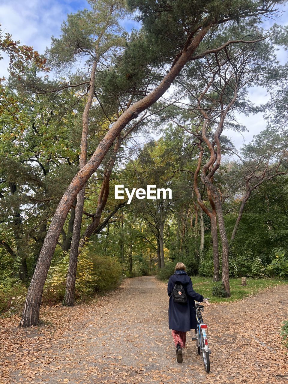 Low angle view of man standing on tree