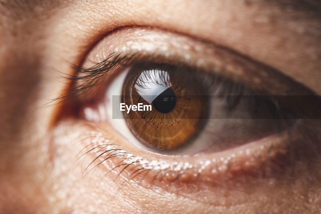 Close-up of cropped eye