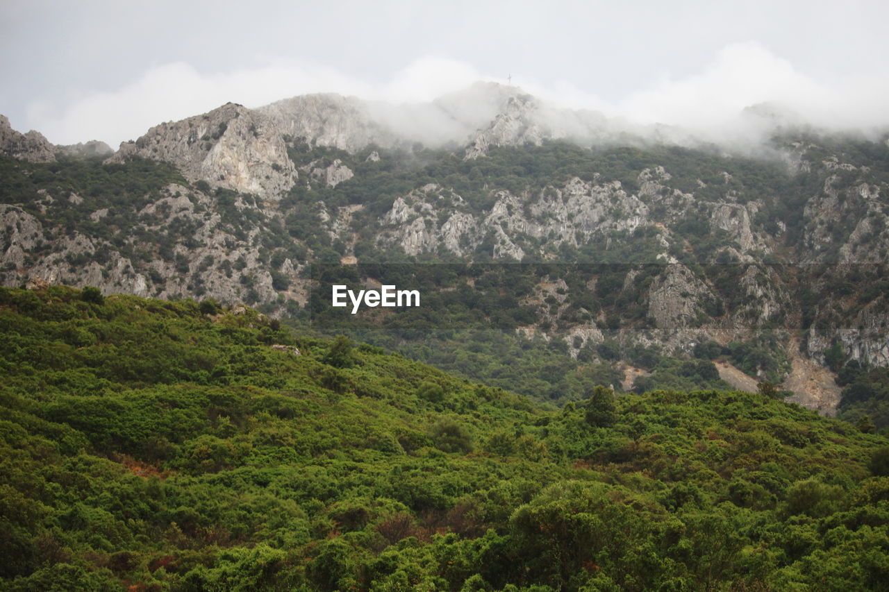 SCENIC VIEW OF MOUNTAINS AND VALLEY