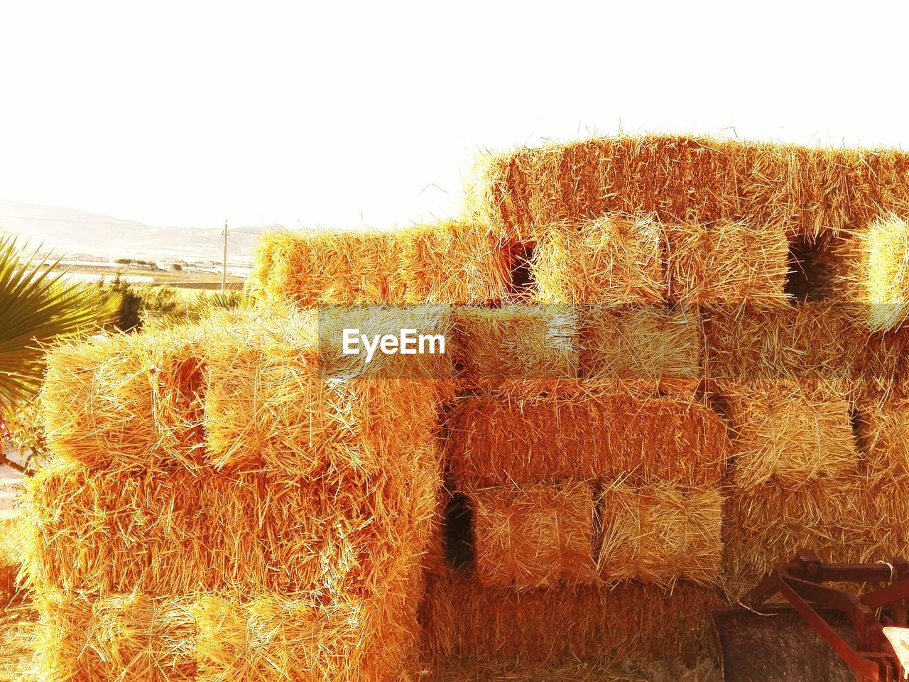 Hay bales on field against clear sky