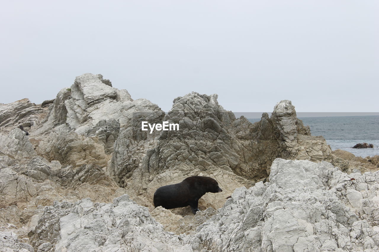 Rock formations on beach against clear sky