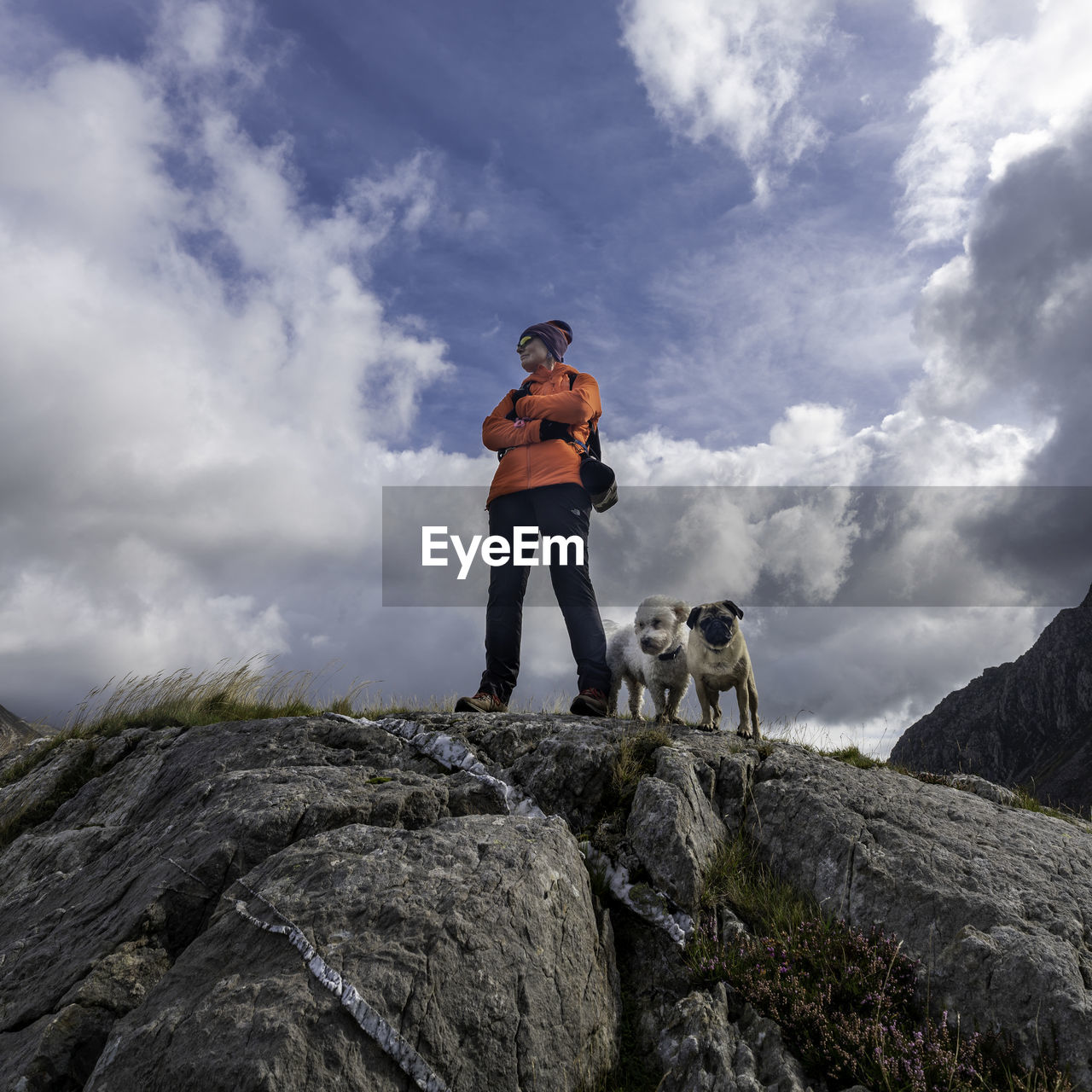 Dog standing on rock against sky