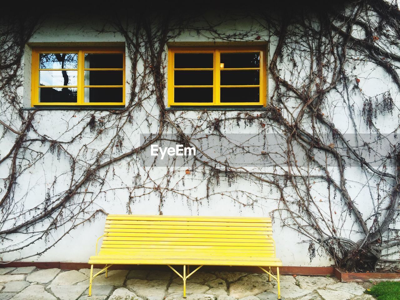 Empty yellow park bench in front of wall with tree and window