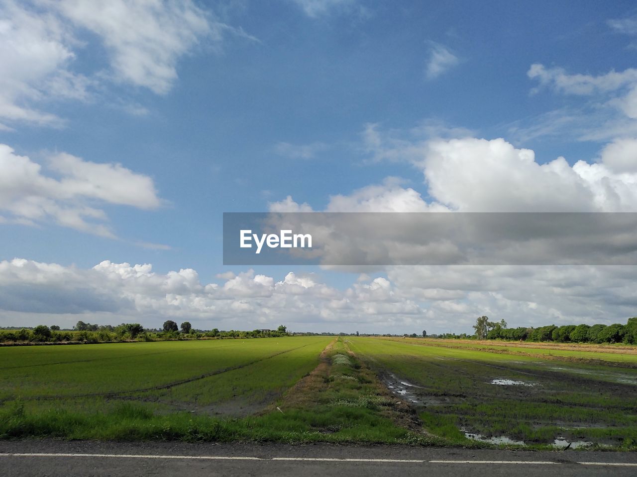 sky, cloud, horizon, landscape, environment, plain, road, field, nature, rural area, land, plant, transportation, rural scene, no people, highway, scenics - nature, prairie, agriculture, day, grass, beauty in nature, travel, tranquility, outdoors, hill, blue, tranquil scene, non-urban scene, tree, farm, green, grassland, cloudscape, travel destinations, horizon over land