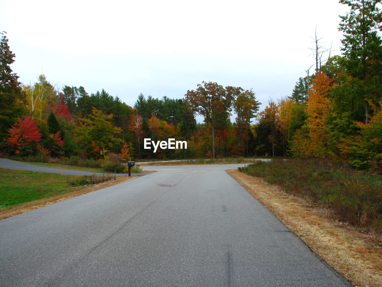 ROAD BY TREES AGAINST SKY