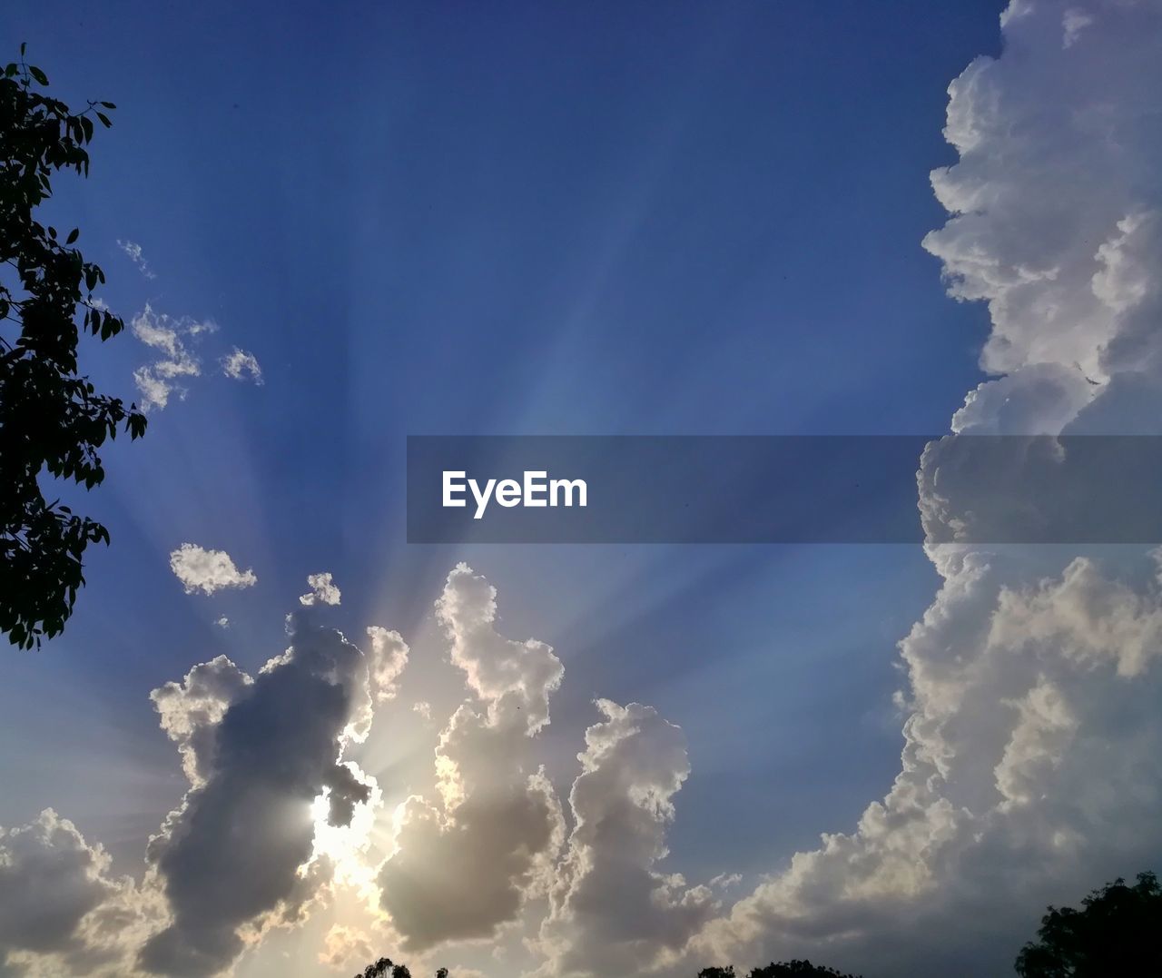 LOW ANGLE VIEW OF SKY AND CLOUDS IN BLUE BACKGROUND