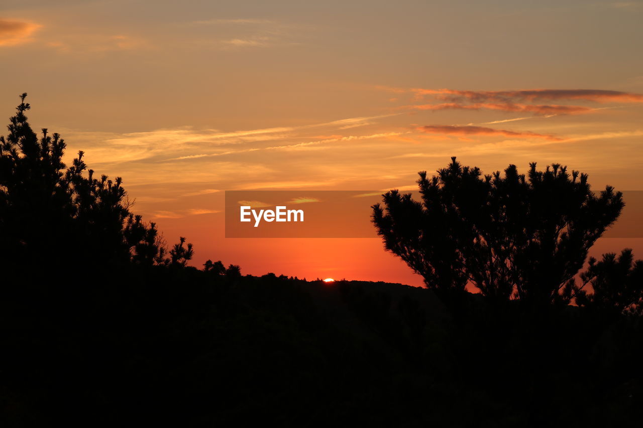 SILHOUETTE TREE AGAINST SKY DURING SUNSET