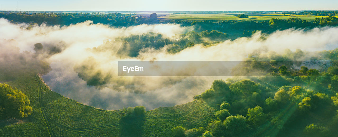 Panoramic shot of trees on land against sky