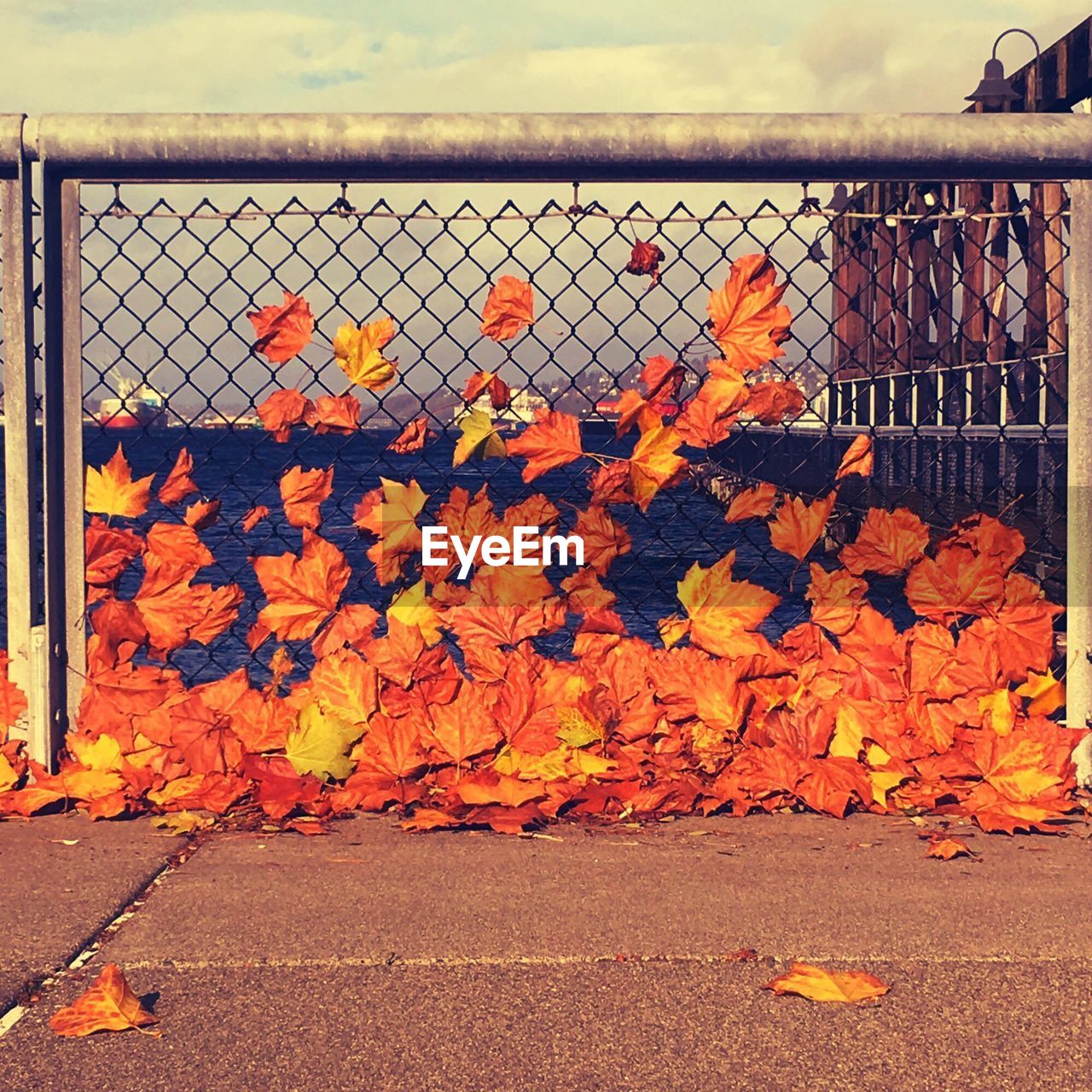 CLOSE-UP OF CHAINLINK FENCE