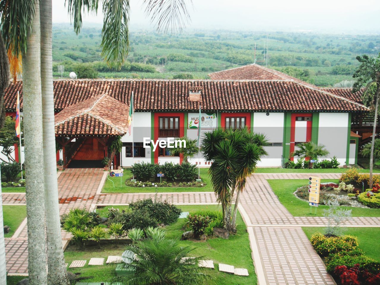 PALM TREES AND BUILDING