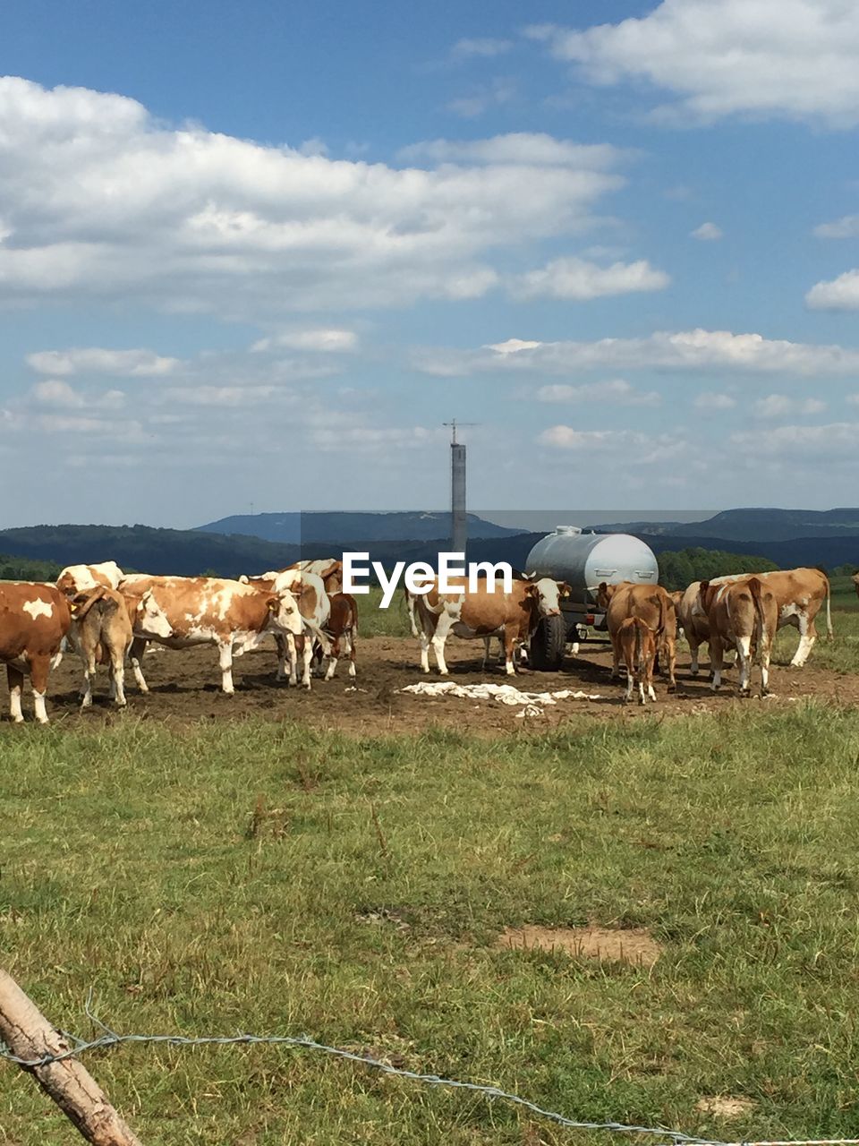 SHEEP GRAZING ON GRASSY FIELD AGAINST CLOUDY SKY