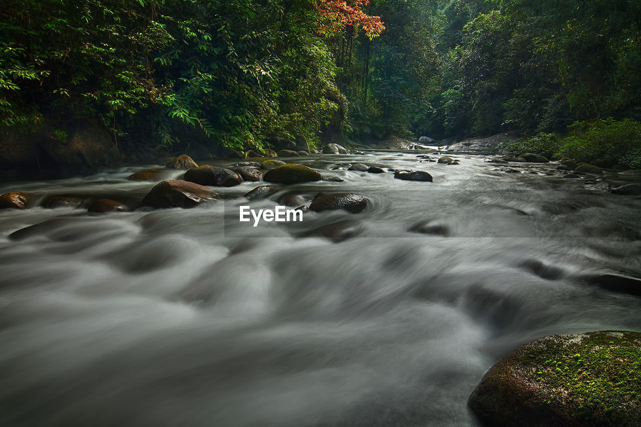 WATER FLOWING IN RIVER