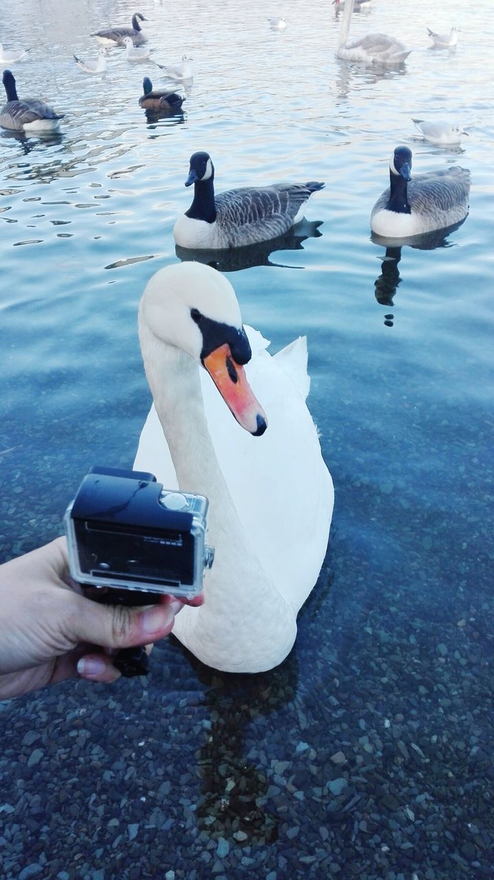 MAN PHOTOGRAPHING WITH CAMERA ON WATER