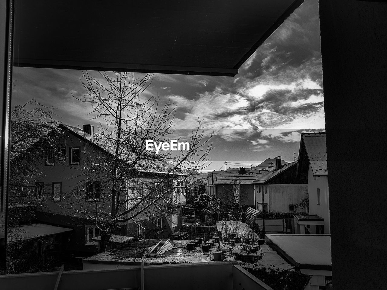 HOUSES AND TREES AGAINST SKY IN CITY