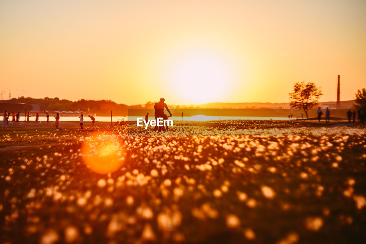 Silhouette man riding bicycle at beach during sunset