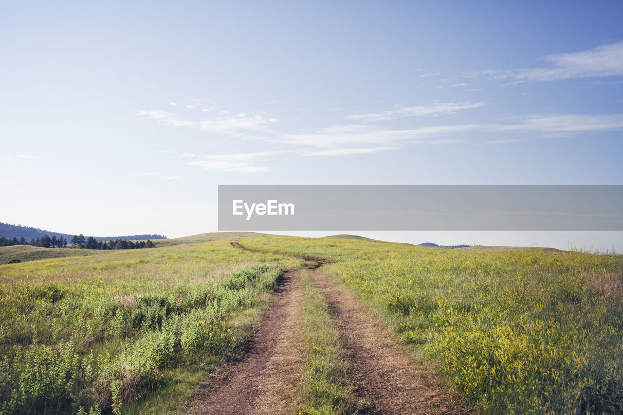 Dirt road amidst grassy field against sky