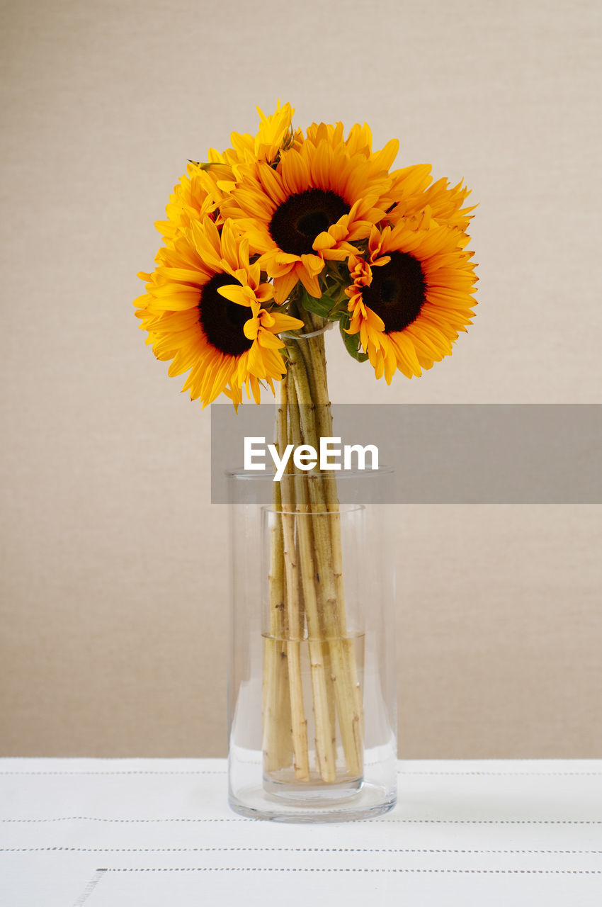 Close-up of yellow flowers in vase on table