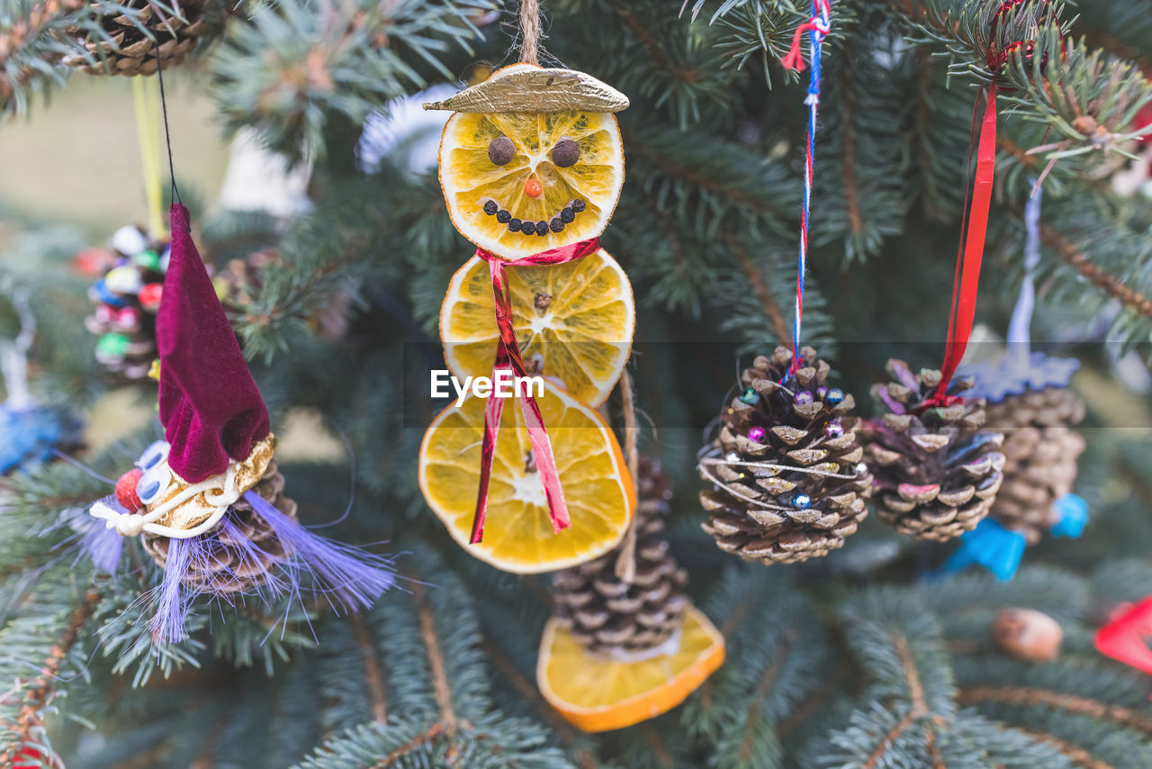 Natural decoration made of dried orange slices, spice and pine cones on a christmas tree. diy