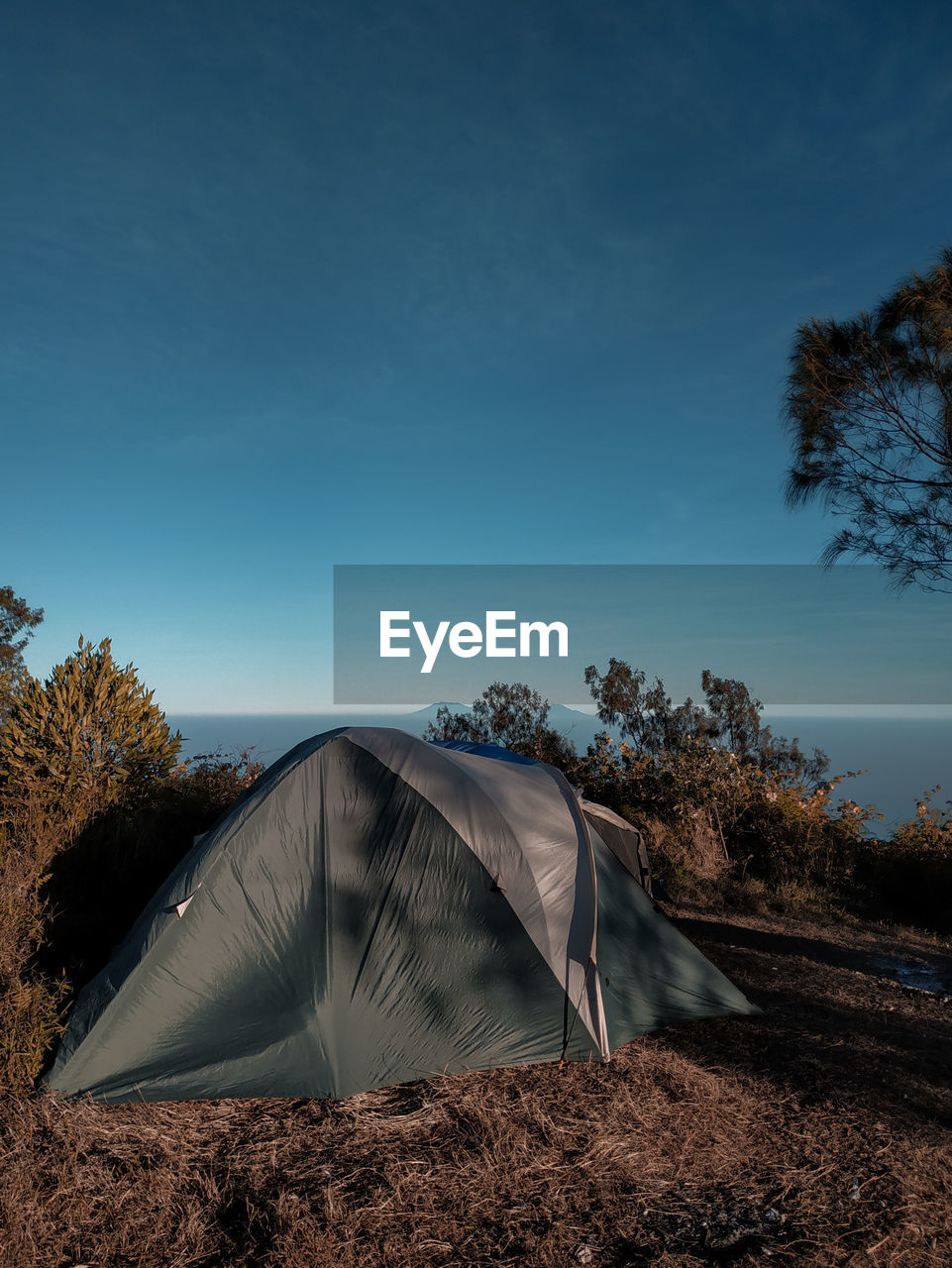 Adventure in bali. the tent on the top of the batukaru mountain with a bright blue sky